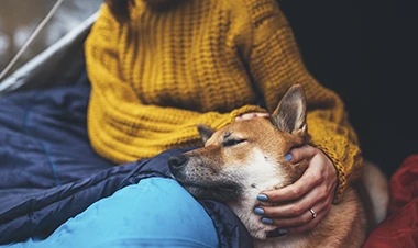 Mindfulness & meditación (nivel básico).
