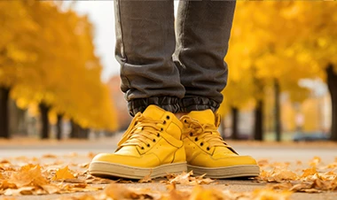 Tu poder interior y el camino a la regeneración